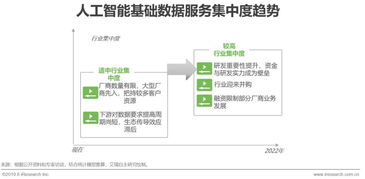 2019年中国人工智能基础数据服务与行业应用系统集成服务白皮书