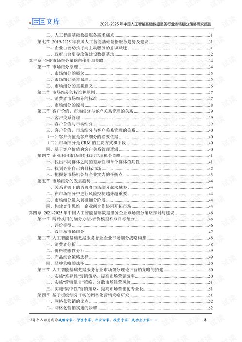 2021-2025年中国人工智能基础数据服务与行业应用系统集成服务市场细分策略研究报告